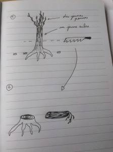 24946434_10155010312411932_1063110629_o